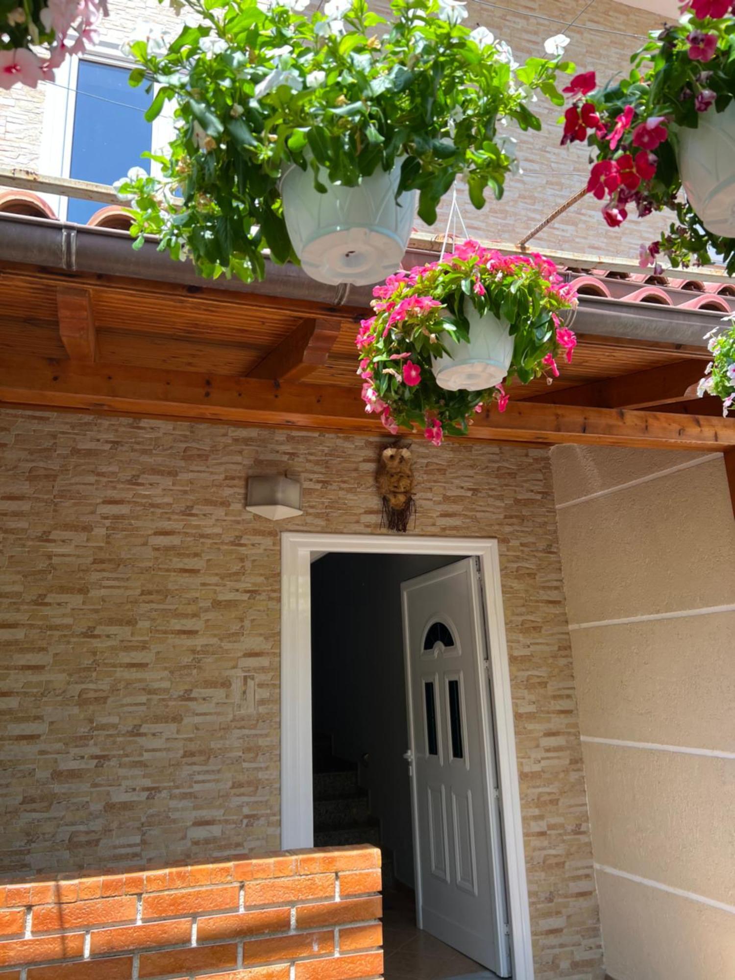 Trip-Stop Apartments Vlorë Extérieur photo